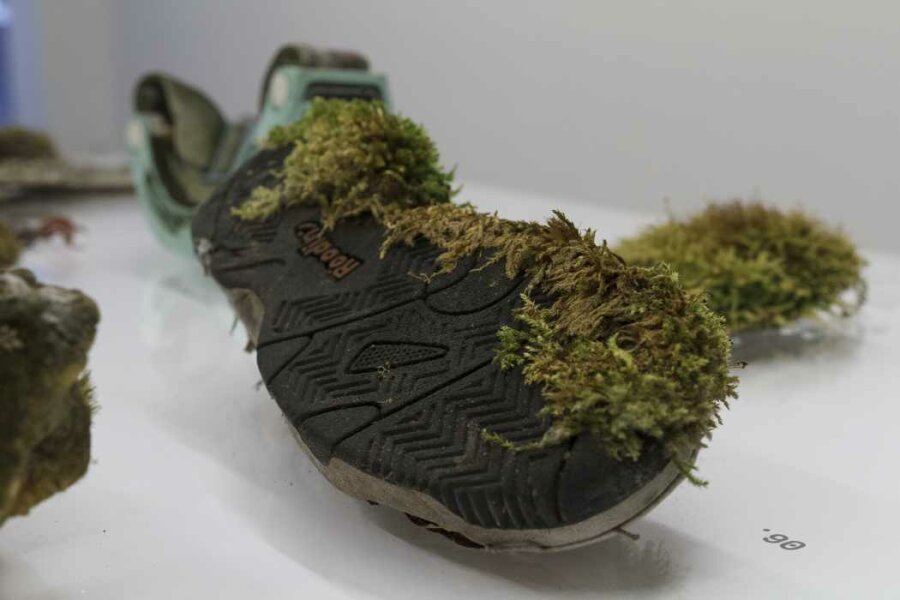 Diana Lelonek, Center for the Living Things, 2016–2017, vybrané objekty z kolekce ústavu Center for the Living Things (nalezené objekty), Foto: Maciej Zaniewski